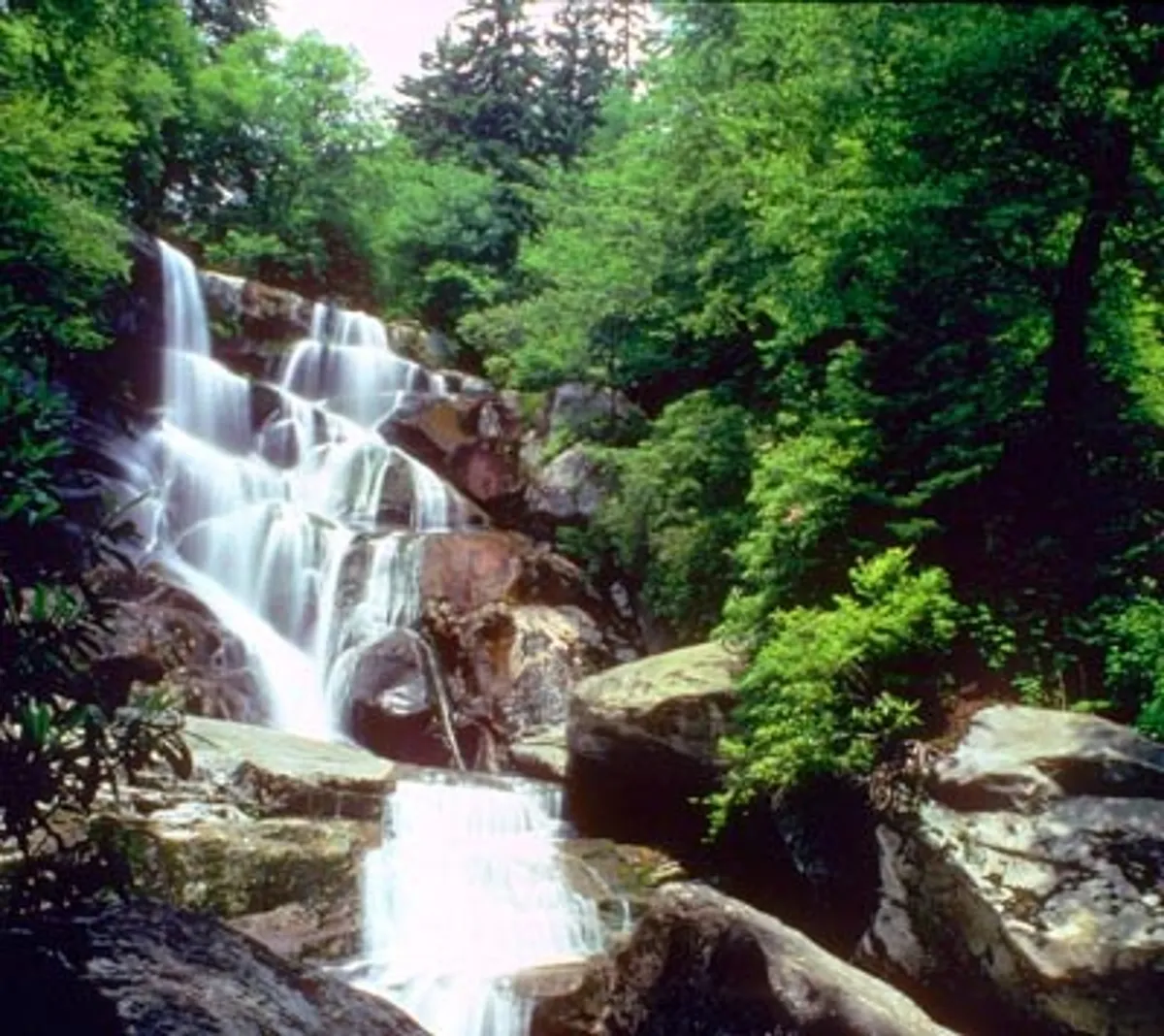 A picturesque waterfall cascades over mossy rocks, framed by lush green trees and undergrowth. The natural beauty is accentuated by dappled sunlight, inviting visitors to linger, listen to the water, and immerse themselves in the serenity of the Smoky Mountains.