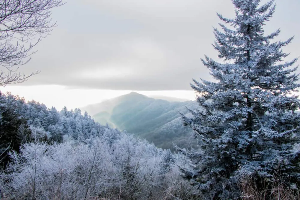 A panoramic view of snow-capped Great Smoky Mountains and frosted trees beneath a cloudy sky, evoking the vastness and natural beauty of the national park just a drive away from the cabin.