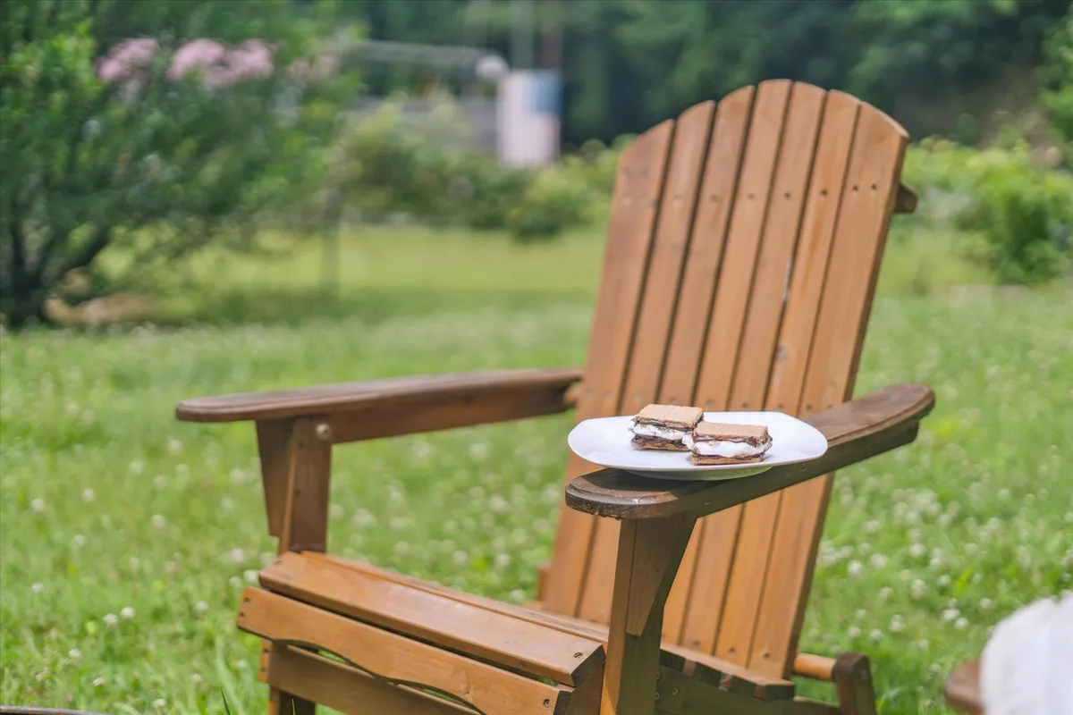 An exterior shot featuring a wooden chair set on a lush green lawn, with a plate of food atop a small table, suggesting an inviting outdoor space ideal for relaxing or sharing a snack. The casual atmosphere is perfect for enjoying nature with pets at your side.